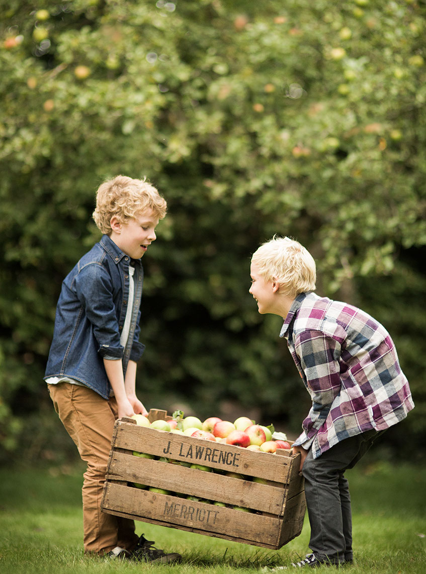 BOYS-AND-APPLES4