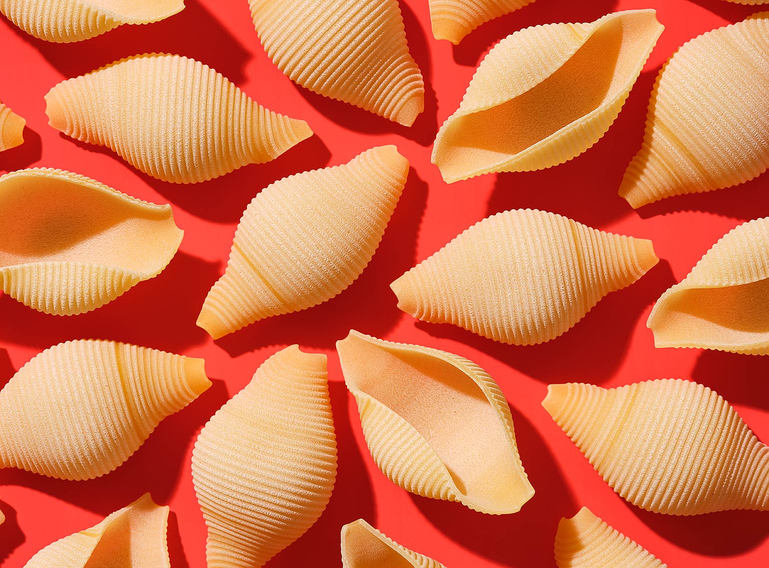 CONCHIGLIONI